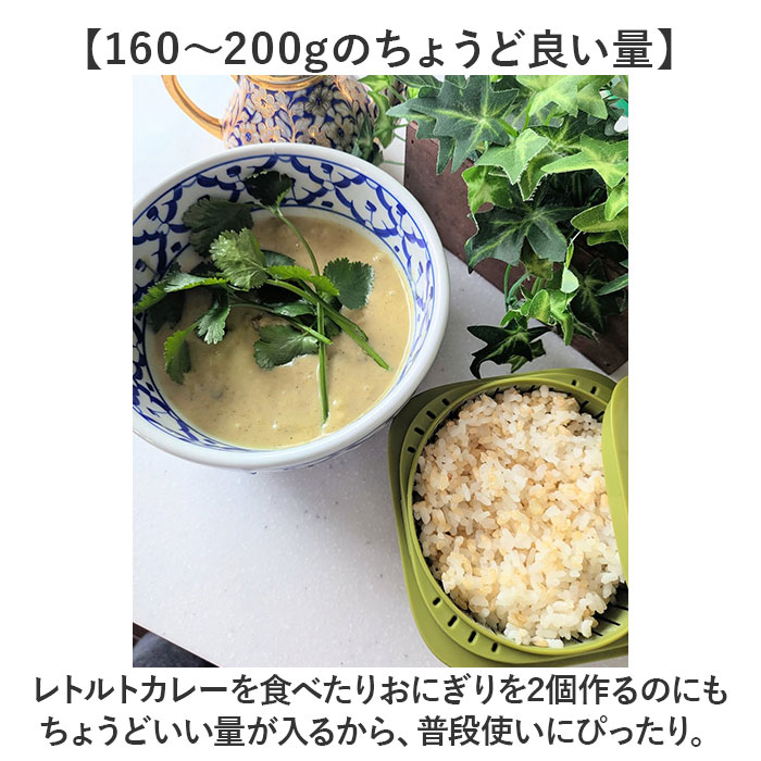 like-it 蒸気であたためる冷凍ごはん容器 6個組 通販 日本製 保存容器 容器 冷凍 冷凍ごはん容器 冷凍ご飯容器 タッパー ライクイット lbk-21 6p like-it | Like-it | 09