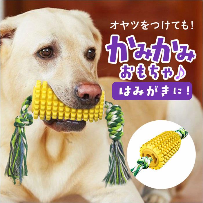 デンタルケア 通販 犬用歯ブラシ 音が出るおもちゃ トウモロコシ型 引っ張りロープ 強力吸盤付き ストレス解消 運動不足解消 犬用知育玩具 | BACKYARD FAMILY