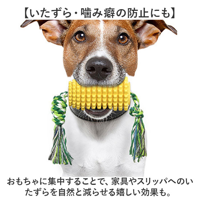 デンタルケア 通販 犬用歯ブラシ 音が出るおもちゃ トウモロコシ型 引っ張りロープ 強力吸盤付き ストレス解消 運動不足解消 犬用知育玩具 | BACKYARD FAMILY | 05