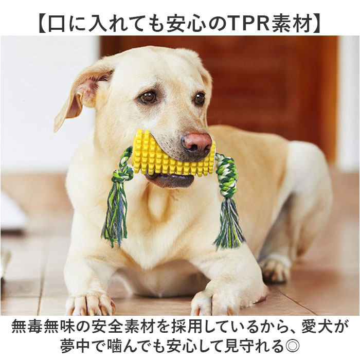 デンタルケア 通販 犬用歯ブラシ 音が出るおもちゃ トウモロコシ型 引っ張りロープ 強力吸盤付き ストレス解消 運動不足解消 犬用知育玩具 | BACKYARD FAMILY | 06
