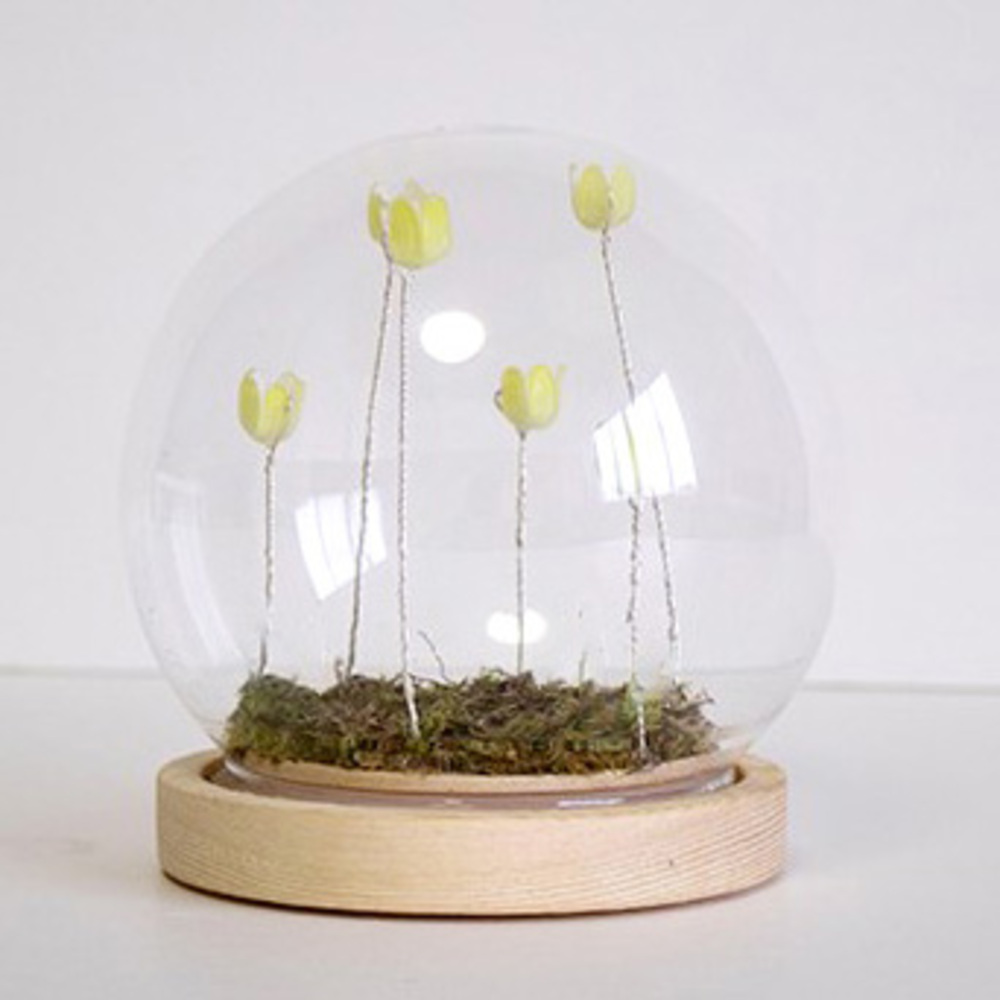 Lumo ガラスドーム フラワー 通販 チューリップ ガラスボールS LED