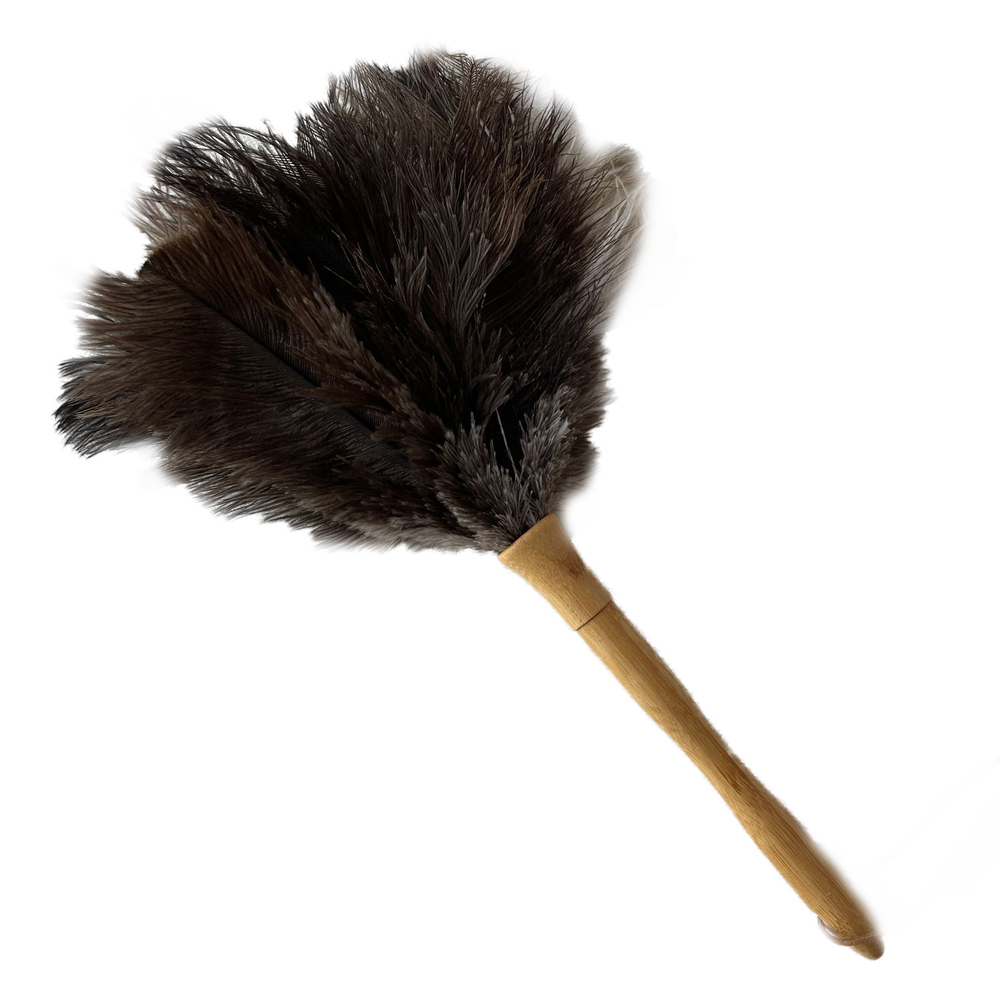 はたき おしゃれ 通販 ほこり取り ダチョウ 埃取り 車 毛ばたき 車用 ハンディモップ ホコリとり ホコリ取り ほこりとり 掃除用品 掃除グッズ 掃除道具 はたき | BACKYARD FAMILY | 01