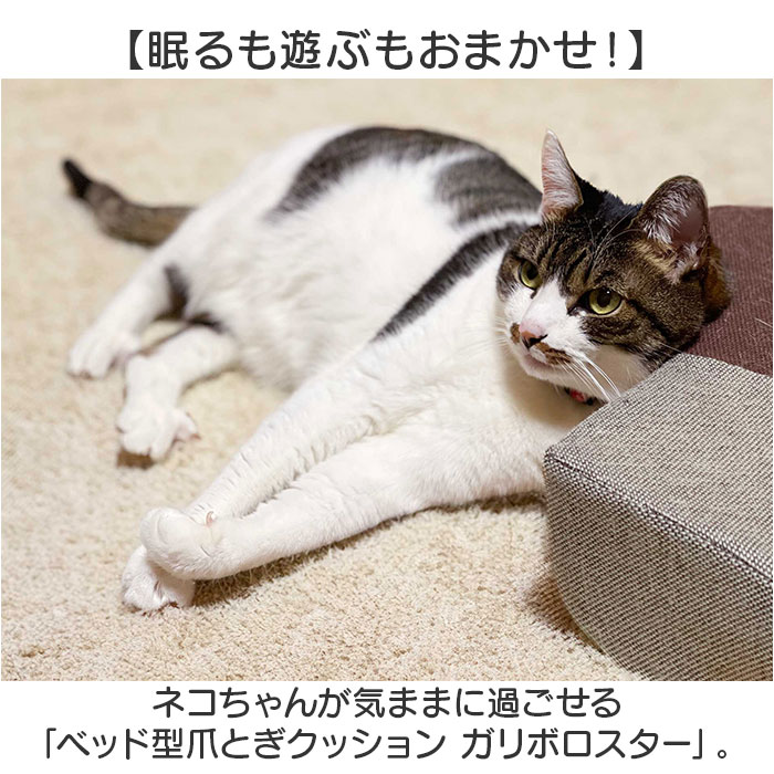 爪とぎ 猫 ベッド 通販 ベッド型 クッション ガリボロスター 明和グラビア GBS-01 猫つめとぎ オシャレ 爪とぎクッション ネコ爪研ぎ 猫爪研ぎ 爪とぎ |  | 04