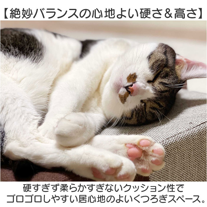 爪とぎ 猫 ベッド 通販 ベッド型 クッション ガリボロスター 明和グラビア GBS-01 猫つめとぎ オシャレ 爪とぎクッション ネコ爪研ぎ 猫爪研ぎ 爪とぎ |  | 08