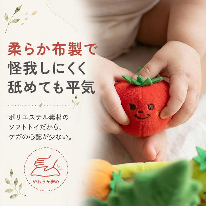 トマトキッズ 知育玩具 12冊セット BACKYARD FAMILY（バックヤードファミリー） 赤ちゃん おもちゃ 指先の