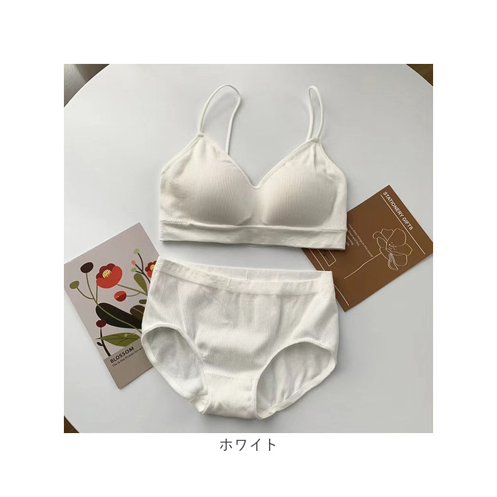 ブラ ショーツ 上下セット ノンワイヤー 通販 ブラジャー セット パンツ レディース下着 ノンワイヤーブラ スポブラ スポーツブラ インナー 肌着 下着 リブ ブラ |  | 13