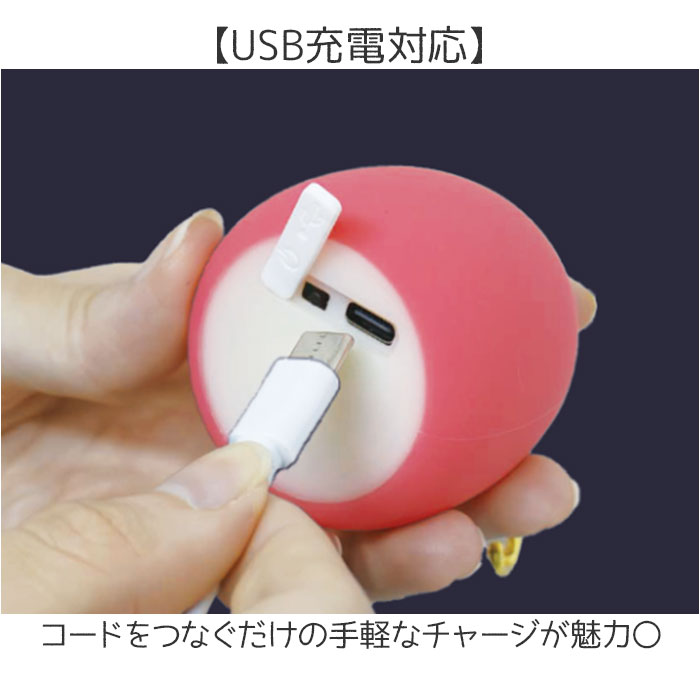 キーホルダー ライト付き 通販 もちっとライトキーホルダー キーリング 光る バッグチャーム チャーム 和風 かわいい グッズ 可愛い おしゃれ キーホルダー | BACKYARD FAMILY | 11