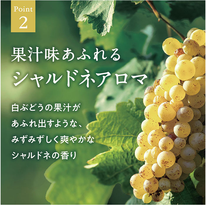 グローバルプロダクトプランニング マルチオイル 通販 日本製 ボディオイル ヘアオイル フェイスオイル 全身用 保湿 グローバルプロダクトプランニング |  | 04