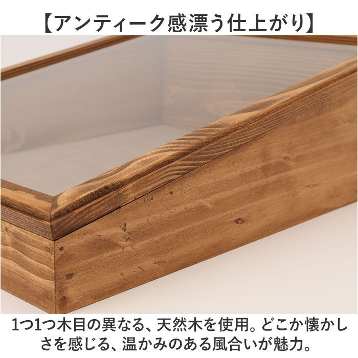 NEIN MARKE ナインマーケ ディスプレイケース 通販 コレクションケース