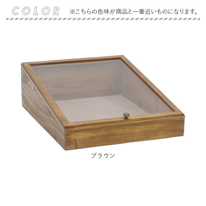 NEIN MARKE ナインマーケ ディスプレイケース 通販 コレクションケース