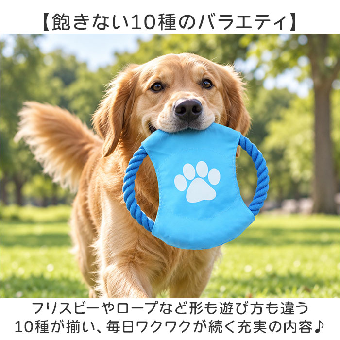 犬 おもちゃ 10個セット 通販 コットンロープ デンタルケア 運動不足解消 引っ張り合い 一人遊び 投げて遊ぶ 水洗い可能 耐久性抜群 噛むおもちゃ | BACKYARD FAMILY | 03