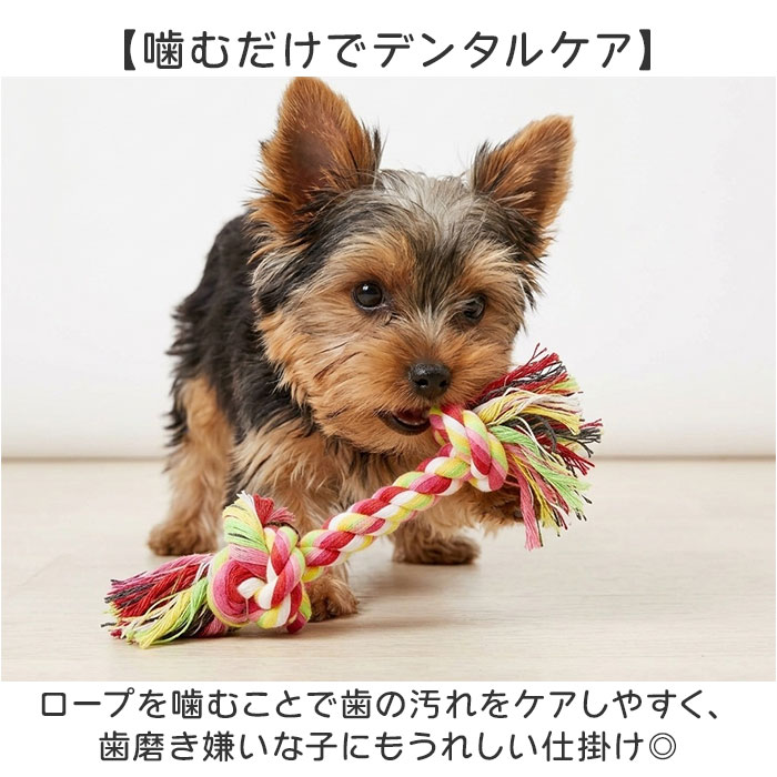 犬 おもちゃ 10個セット 通販 コットンロープ デンタルケア 運動不足解消 引っ張り合い 一人遊び 投げて遊ぶ 水洗い可能 耐久性抜群 噛むおもちゃ | BACKYARD FAMILY | 04