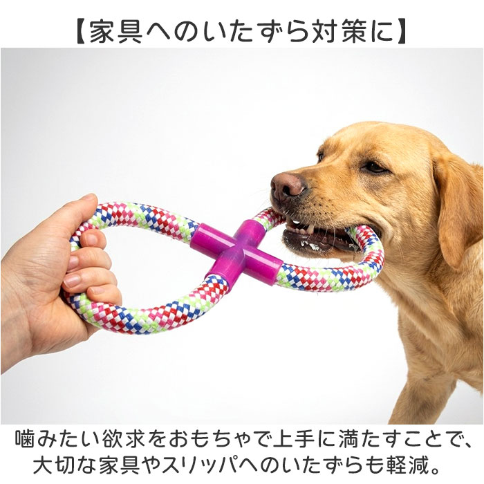 犬 おもちゃ 10個セット 通販 コットンロープ デンタルケア 運動不足解消 引っ張り合い 一人遊び 投げて遊ぶ 水洗い可能 耐久性抜群 噛むおもちゃ | BACKYARD FAMILY | 05