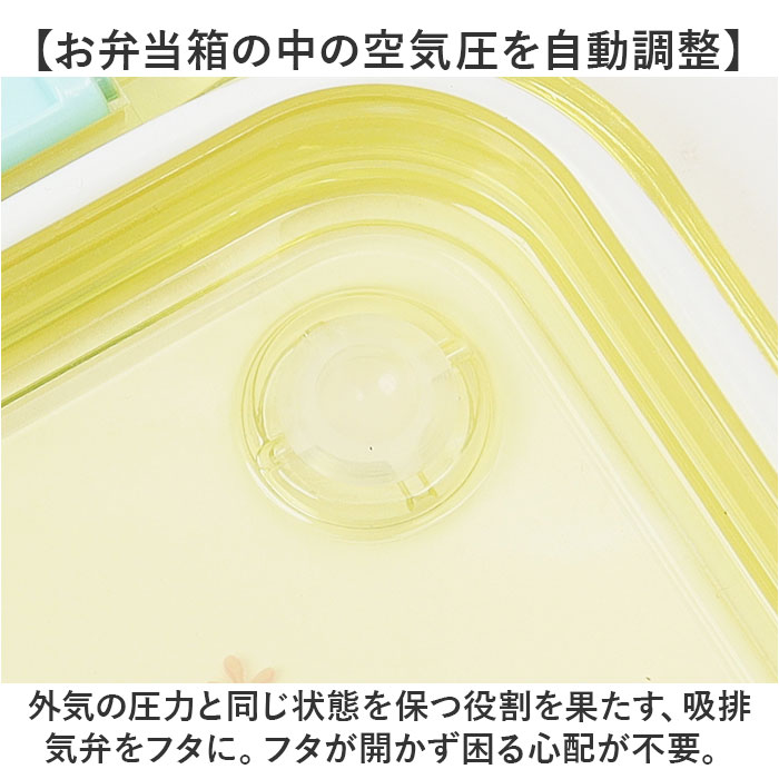 ランチボックス キャラクター 通販 弁当箱 1段 500ml お弁当箱 一段 大人用弁当箱 弁当 箱 女子 大人 子供 子ども 小学生 中学生 高校生 かわいい おしゃれ |  | 10