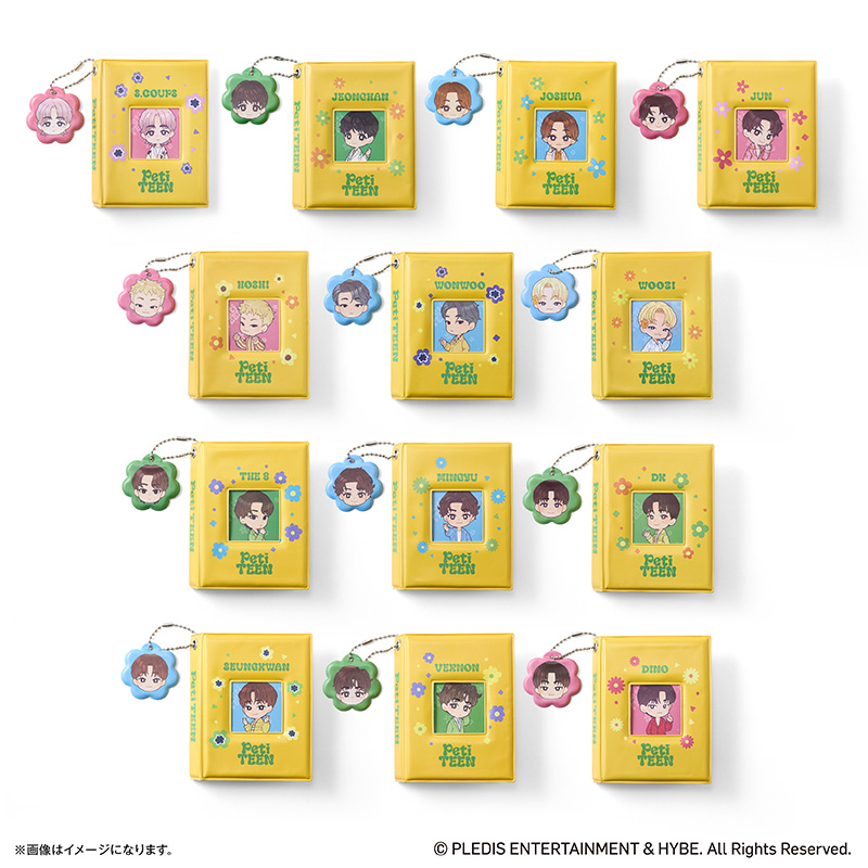 SEVENTEEN グッズ 通販 PetiTEEN フォトホルダー WONWOO ウォヌ セブチ