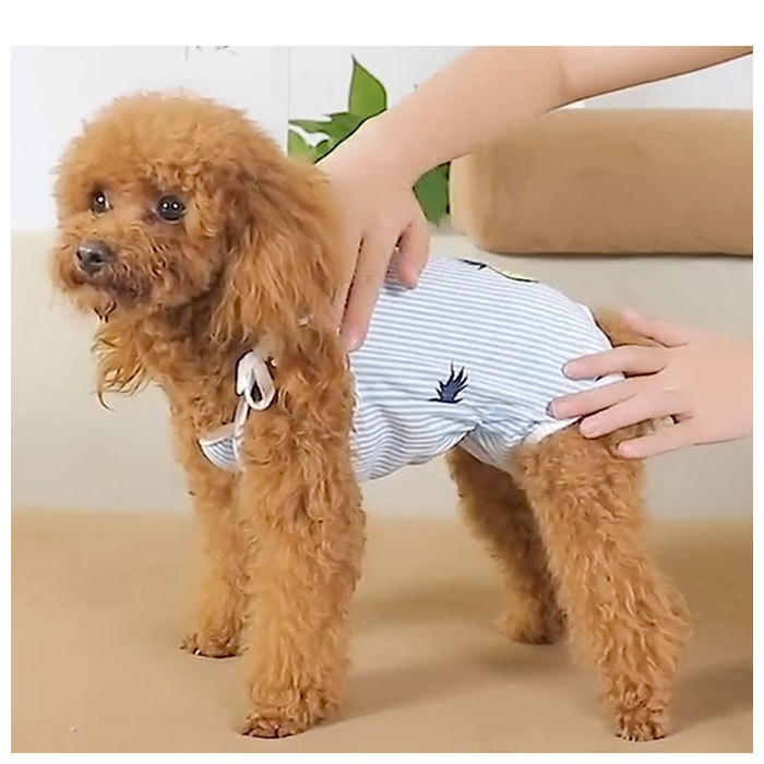 ハンドメイド犬服【隣の芝は猫】 楽天市場】背中開き術後服カバーオール ドッグウエア 小型犬