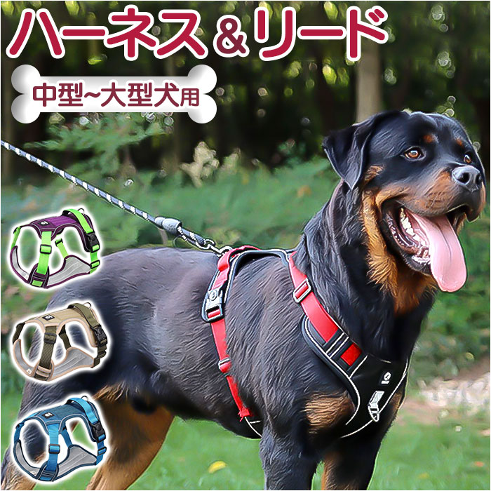 犬ハーネスリードセット 通販犬ハーネスリードセット ハーネス ドッグ