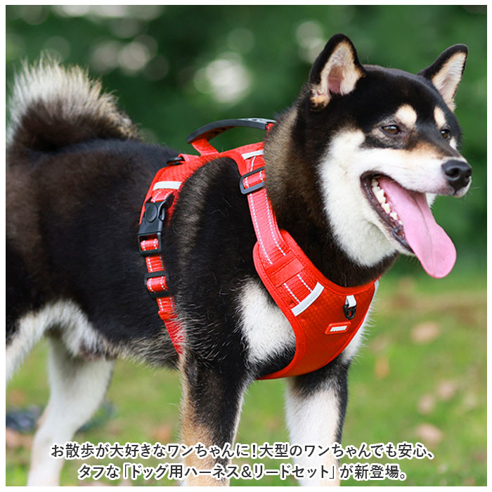 犬ハーネス 通販犬ハーネス ハーネス ウェアハーネス ドッグハーネス 犬 犬用 胴輪 抜けない 抜けにくい 補助ハンドル ハンドル付き メッシュ 反射板 犬ハーネス | ブランド登録なし | 01