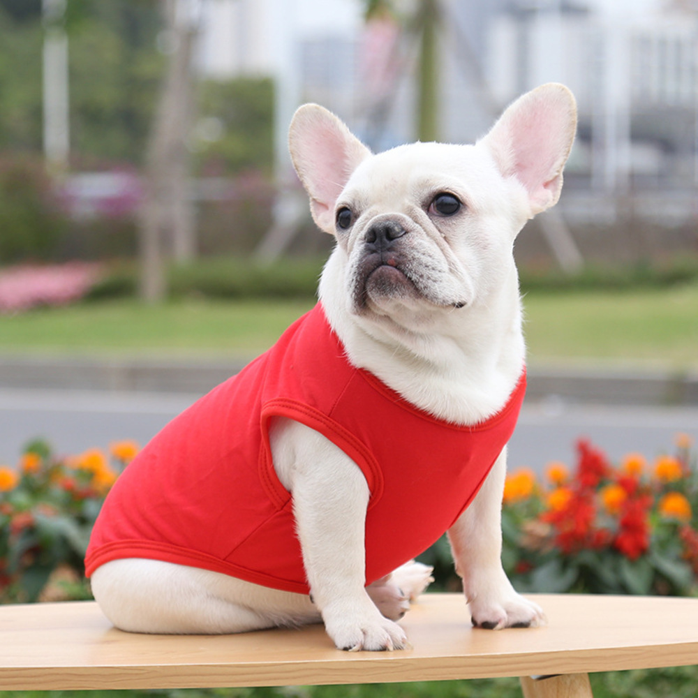 犬の服 通販犬の服 服 ベスト 犬 猫 ペット ペット服 無地 小型犬 中型犬 大型犬 ドッグウェア 洋服 犬用 いぬ イヌ 猫用 ねこ ネコ ドッグ かわいい おしゃれ｜backyard｜06