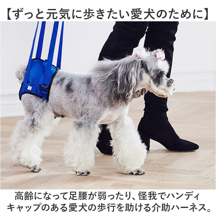 ハーネス 犬 介護 後ろ足 通販 介護用ハーネス 補助 後足用 小型犬 中型犬 大型犬 シニア犬 老犬 リハビリ 胴輪 サポート 犬用品 歩行 ペット ハーネス |  | 02