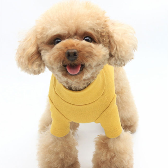 ペット ドッグウェア Tシャツ カットソー 通販 犬服 犬の服 防寒着 部屋着 犬用Tシャツ シャツ インナー いぬ 犬用 犬 散歩 犬用品 ペット用品 ペット用 ペット |  | 13