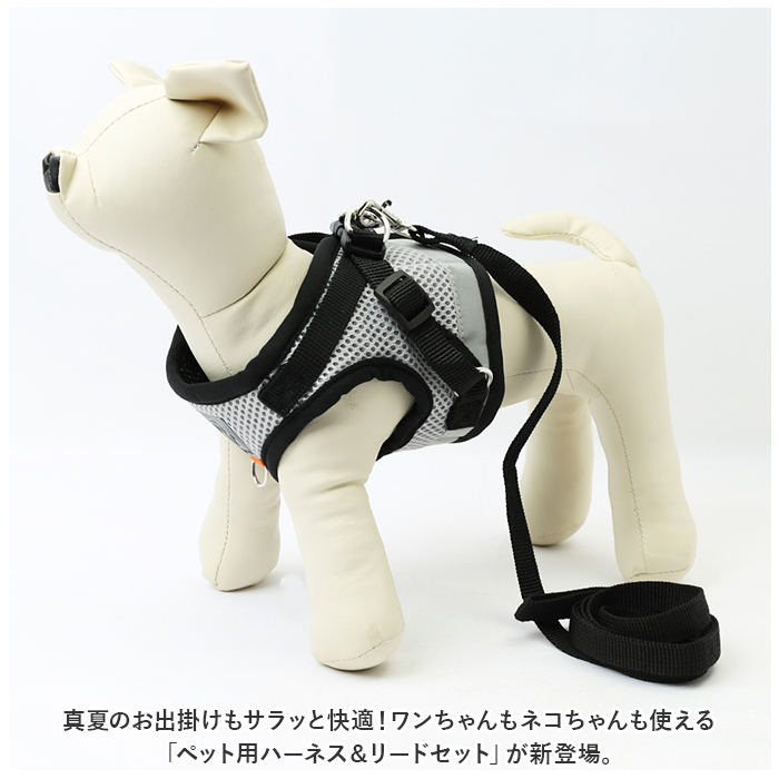 犬 リード ハーネス 通販 胴輪 リードセット セット ショルダーハーネス ハーネスリード 通気性 メッシュ 調節可能 バイカラー ツートンカラー 小型犬 犬 |  | 05