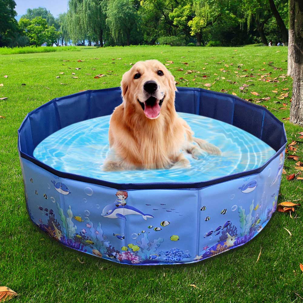 ペットプール 通販ペットプール 犬用プール 無地 プール ペットバスプール 犬 いぬ ペット用 ペット お風呂 浴槽 バスタブ 折り畳み式 折りたたみ  ペットプール | ブランド登録なし | 01