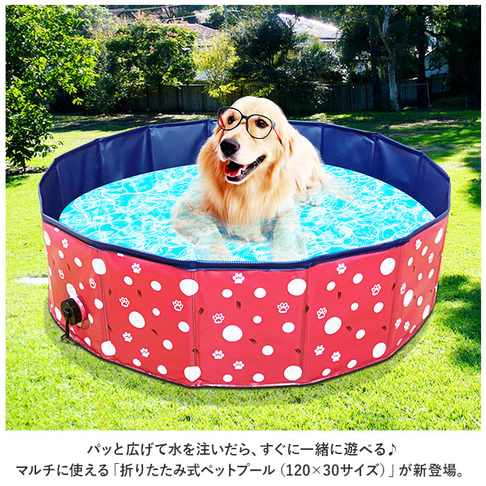 ペットプール 通販ペットプール 犬用プール 無地 プール ペットバスプール 犬 いぬ ペット用 ペット お風呂 浴槽 バスタブ 折り畳み式 折りたたみ  ペットプール | ブランド登録なし | 05