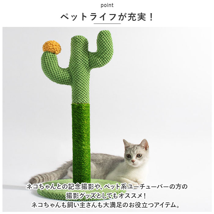 猫 爪とぎ ポール 通販 キャットタワー 爪研ぎ つめとぎ 爪研ぎポール 爪とぎポール 麻縄 サイザル麻 さぼてん サボテン ねこ ネコ キャット おもちゃ｜backyard｜12