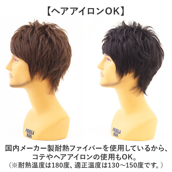 プリシラ prisila プリシラ ウィッグ MA-100 メンズ 通販 オールウイッグ オールウィッグ フルウィッグ フルウイッグ 全頭かつら かつら ウイッグ |  | 15