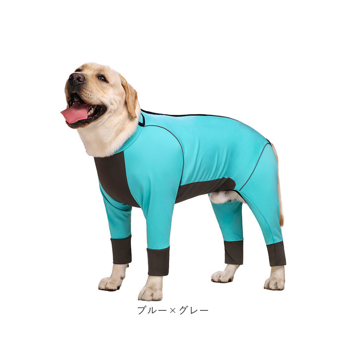 BACKYARD FAMILY（バックヤードファミリー） 大型犬 つなぎ 犬 通販