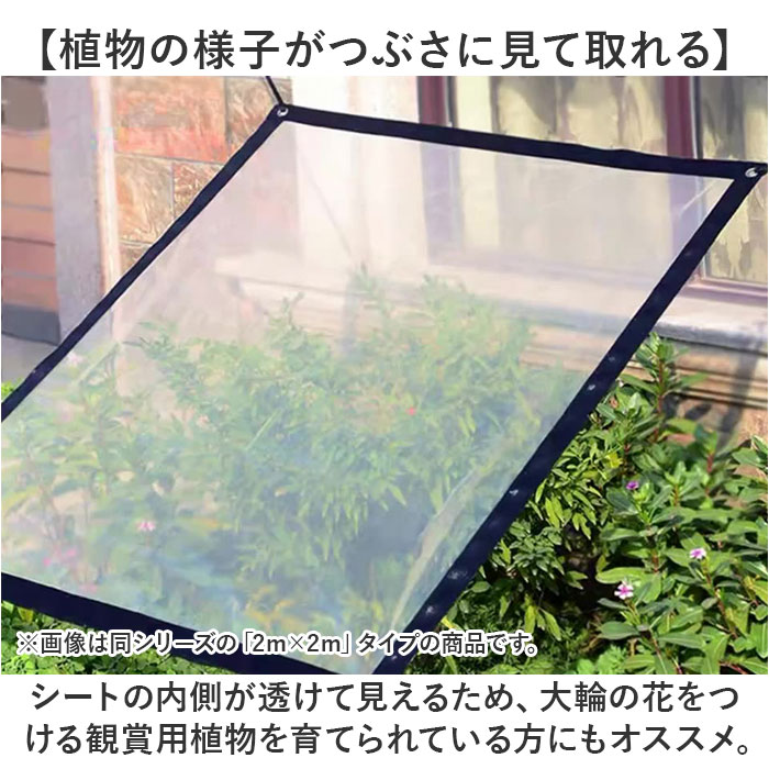 2×4m クリアタープ 温室 庭 パティオ用 結束ロープ付き BACKYARD FAMILY（バックヤードファミリー） ガーデニング 園芸シート