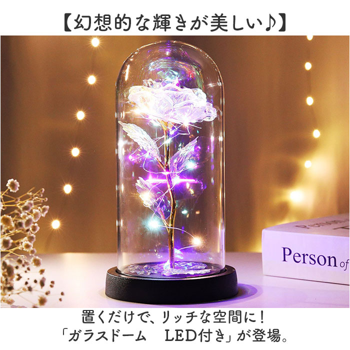 ガラスドーム（照明、電球） | 家具、インテリア の商品一覧 通販
