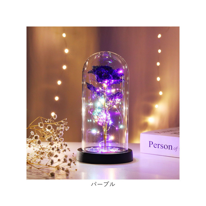 ガラスドーム（照明、電球） | 家具、インテリア のおすすめ人気商品