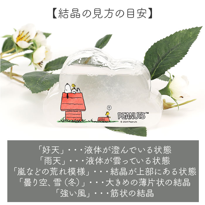 茶谷産業 ストームグラス キャラクター 通販 サイエンスオブジェ サイエンス雑貨 置物 置き物 科学 サイエンス クラウドSS PEANUTS ピーナッツ 茶谷産業 |  | 04