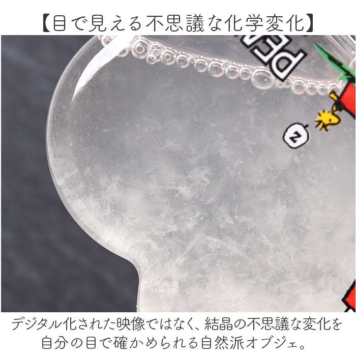 茶谷産業 ストームグラス キャラクター 通販 サイエンスオブジェ サイエンス雑貨 置物 置き物 科学 サイエンス クラウドSS PEANUTS ピーナッツ 茶谷産業 |  | 05
