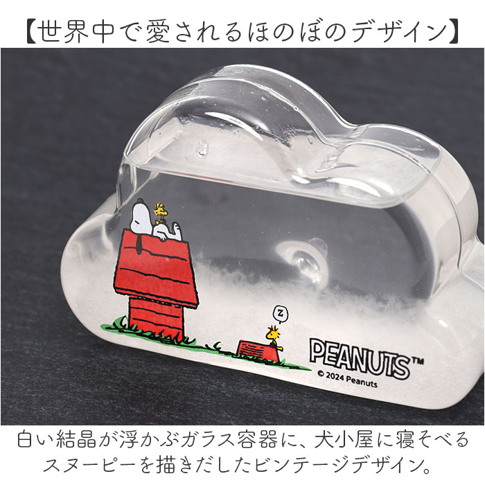 茶谷産業 ストームグラス キャラクター 通販 サイエンスオブジェ サイエンス雑貨 置物 置き物 科学 サイエンス クラウドSS PEANUTS ピーナッツ 茶谷産業 |  | 07