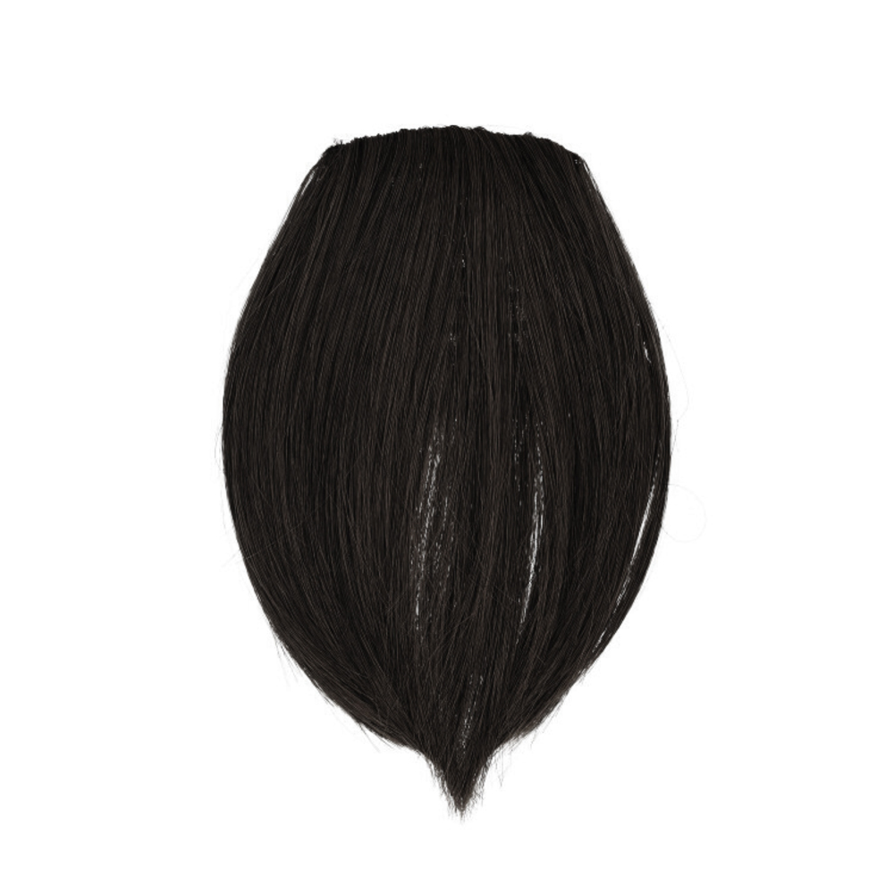 プリシラ prisila 前髪ウィッグ FX-01 通販 前髪 部分ウィッグ 前髪ウイッグ ウィッグ かつら ウイッグ つけ毛 カツラ 自然 簡単 ぱっつんちゃん プリシラ |  | 01