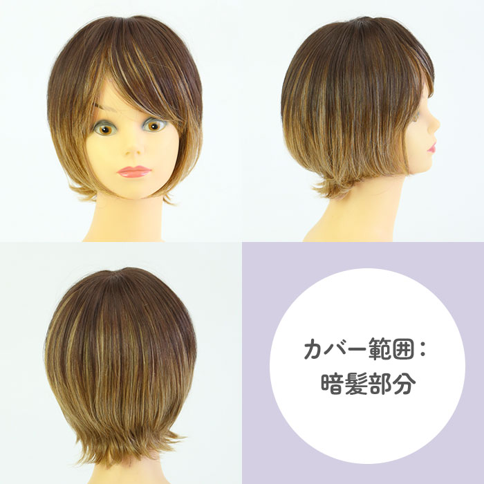 プリシラ ウィッグ レディース つむじ ST-004 通販 ミセスウィッグ 白髪かくしウィッグ 部分ウイッグ 部分ウィッグ 増毛 部分かつら エクステ 付け毛 |  | 13
