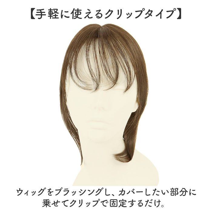 プリシラ 白髪隠しウィッグ prisila ST-010 通販 ヘアピース プレミアム白髪かくしウィッグ ふんわりロング ポイントウィッグ 部分ウィッグ プリシラ |  | 10