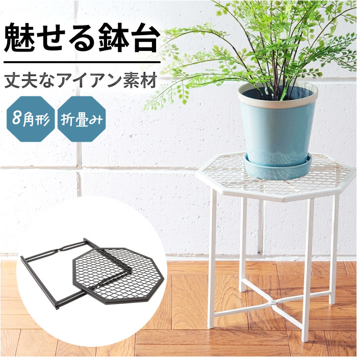 プランツスタンド アイアン 通販 オクト おしゃれ 植木鉢スタンド 