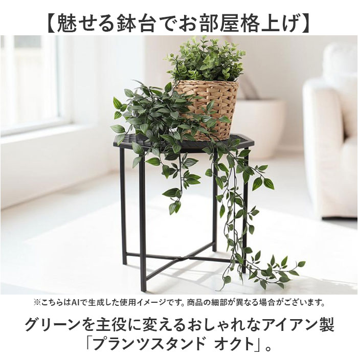 プランツスタンド アイアン 通販 オクト おしゃれ 植木鉢スタンド