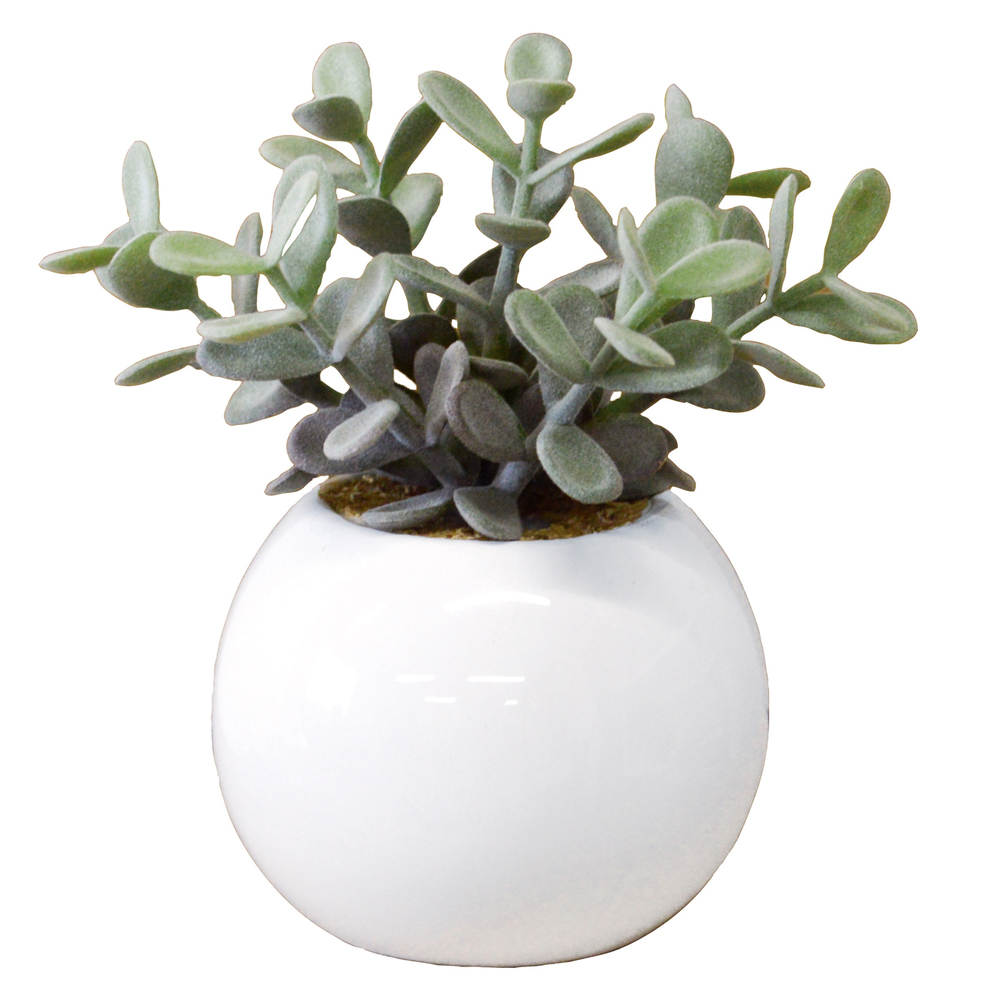 光触媒 通販光触媒 フェイクグリーン 観葉植物 フェイク ラウンドポットL CT触媒 卓上 小さい 消臭 抗菌 防汚 空気清浄 イミテーショングリーン リビング 光触媒 | ブランド登録なし | 05