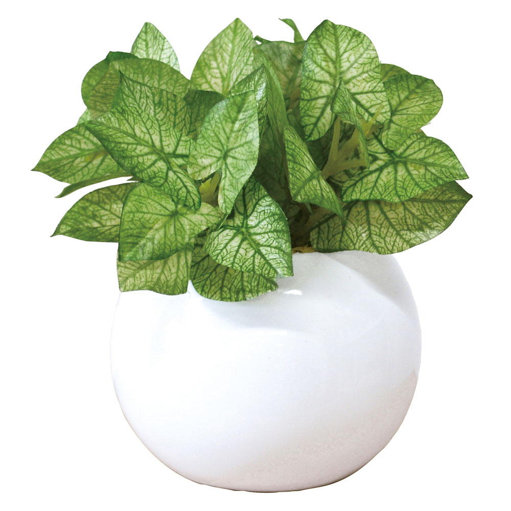 光触媒 通販光触媒 フェイクグリーン 観葉植物 フェイク ラウンドポットL CT触媒 卓上 小さい 消臭 抗菌 防汚 空気清浄 イミテーショングリーン リビング 光触媒 | ブランド登録なし | 06