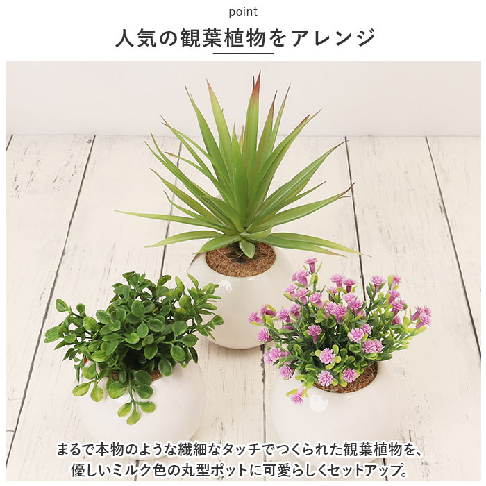 光触媒 通販光触媒 フェイクグリーン 観葉植物 フェイク ラウンドポットL CT触媒 卓上 小さい 消臭 抗菌 防汚 空気清浄 イミテーショングリーン リビング 玄関｜backyard｜08