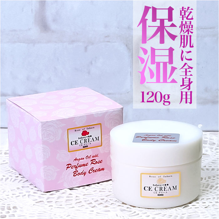 {fB[N[ ʔ CE N[ 120g ێ Sg {fBPA  PA  AKIC  q t XLPA pPA  g