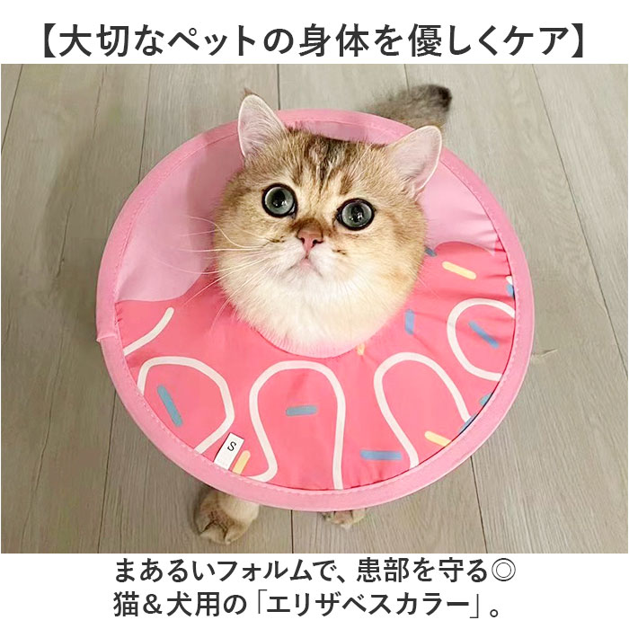 BACKYARD FAMILY（バックヤードファミリー） エリザベスカラー 猫用 犬