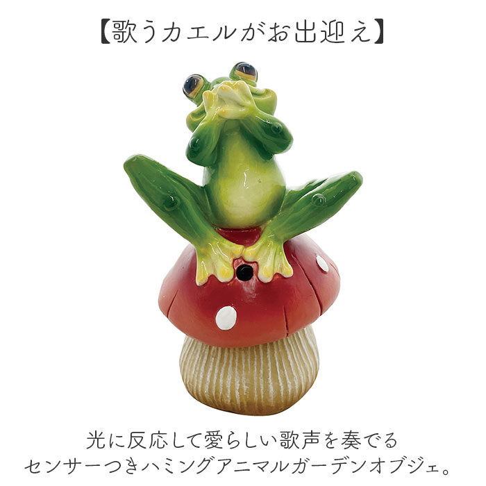 置物 センサー 通販 ガーデンオーナメント オブジェ カエルの歌声