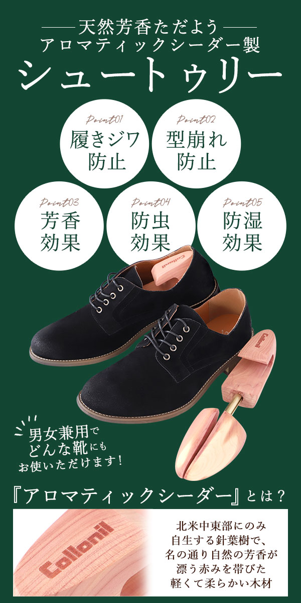 Collonil シューツリー　2セット COLLONIL コロニル シューキーパー 好評 シュートゥリー シュー