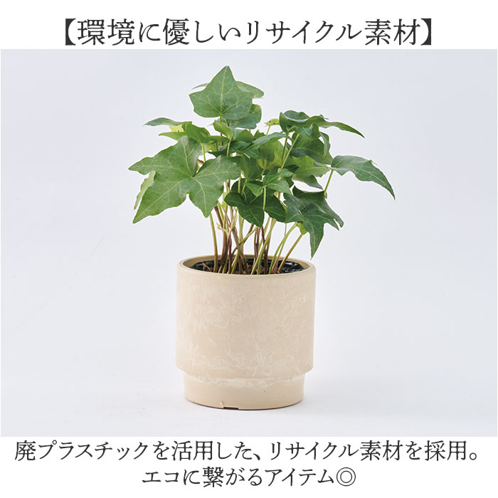 植木鉢 プラスチック 丸型 通販 SK ステップ 15.5xH15 鉢 約 5号 鉢カバー プランター プラポット プランターカバー 植木 ポット 鉢植え おしゃれ 軽量 植木鉢 | BACKYARD FAMILY | 08